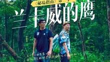 探索冷知识,尽在这个车牌是真的还是假的?为什么是白色的?冷知识分享平台