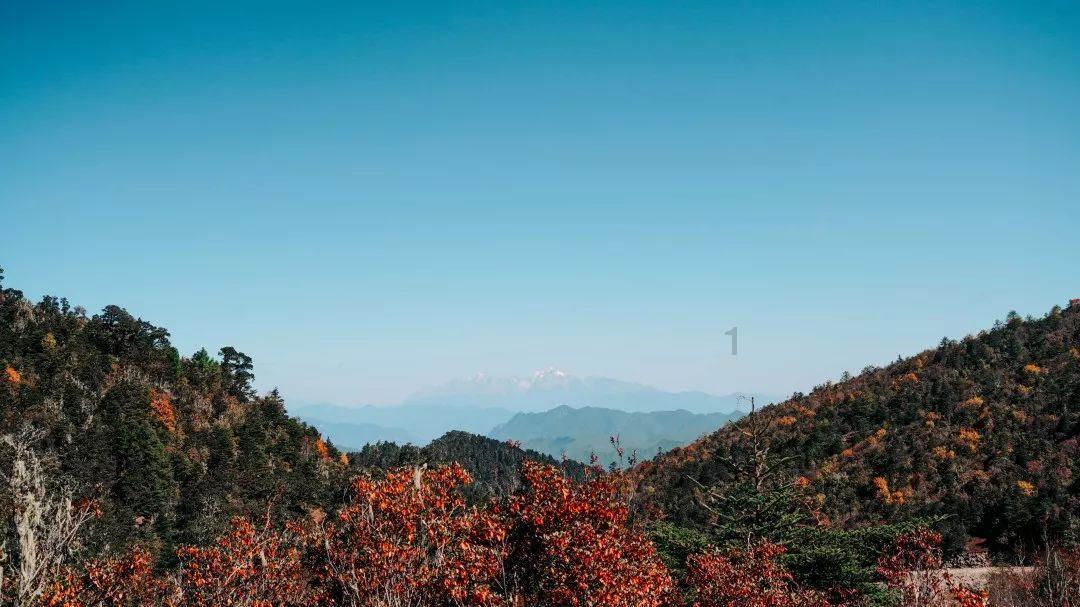沪江开心词场