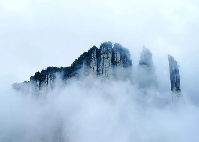 领证后,男方需要补求婚仪式吗-专业的问答类网站